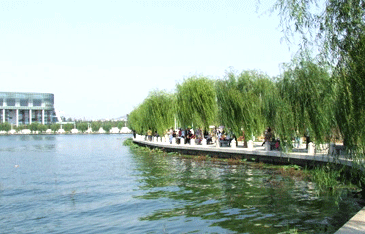 �Ż�ȯ�����ȡ