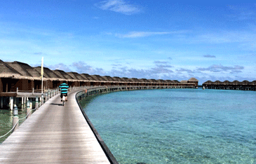 �Ż�ȯ�����ȡ