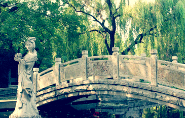 �Ż�ȯ�����ȡ