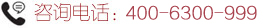 ��ѯ�绰��400-6300-999